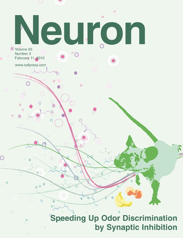 Neuron_65